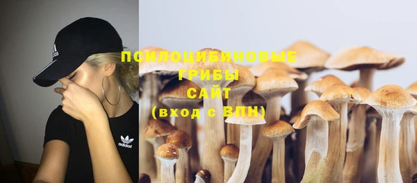 spice Елабуга