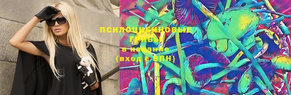 spice Елабуга