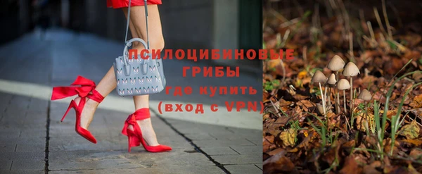 кристаллы Ельня