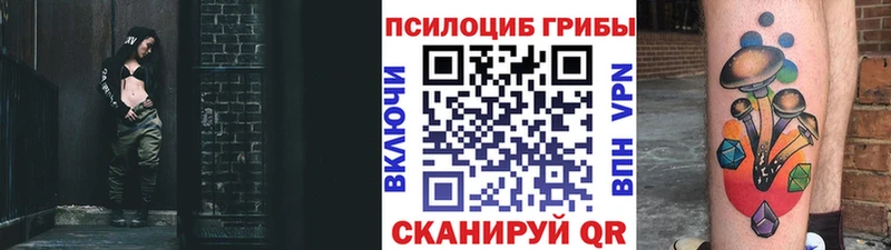 Галлюциногенные грибы Cubensis  купить закладку  Суджа 